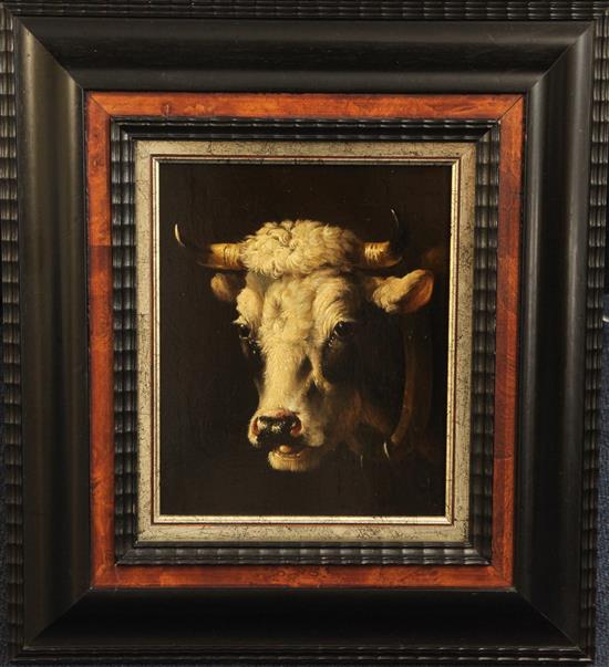 Albertus Verhoesen (1806-1881) Study of a cows head 8.5 x 7in.
